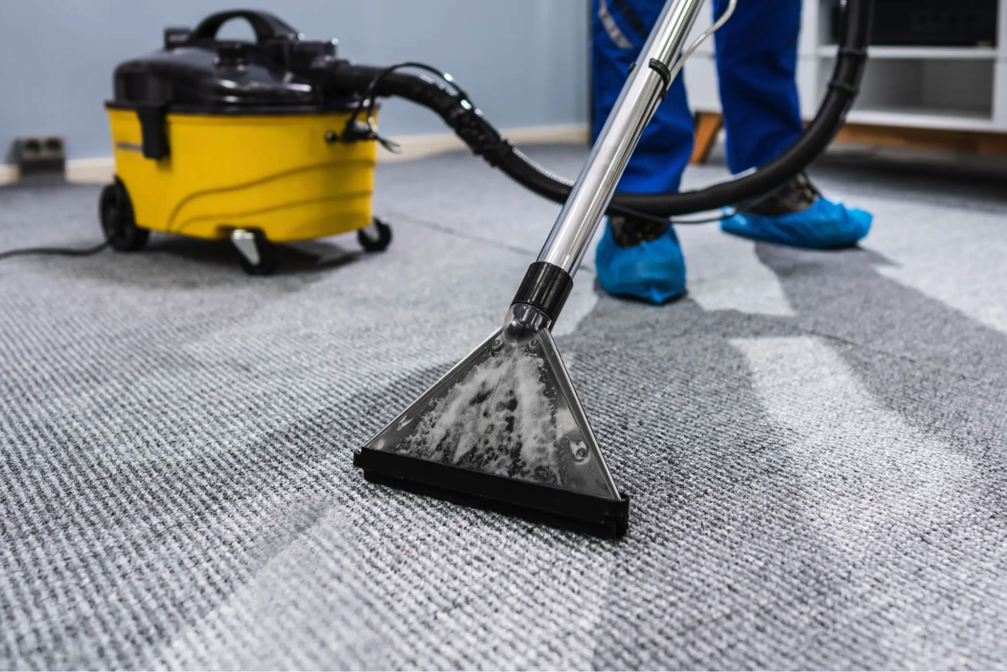 Carpet Cleaning in Porirua